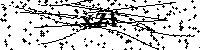 请输入验证码