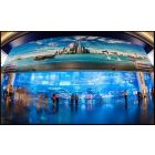 迪拜购物中心水族馆