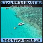 巴亚达岛之旅|吉达